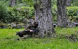 szczawnica-24.pl - dobre strony